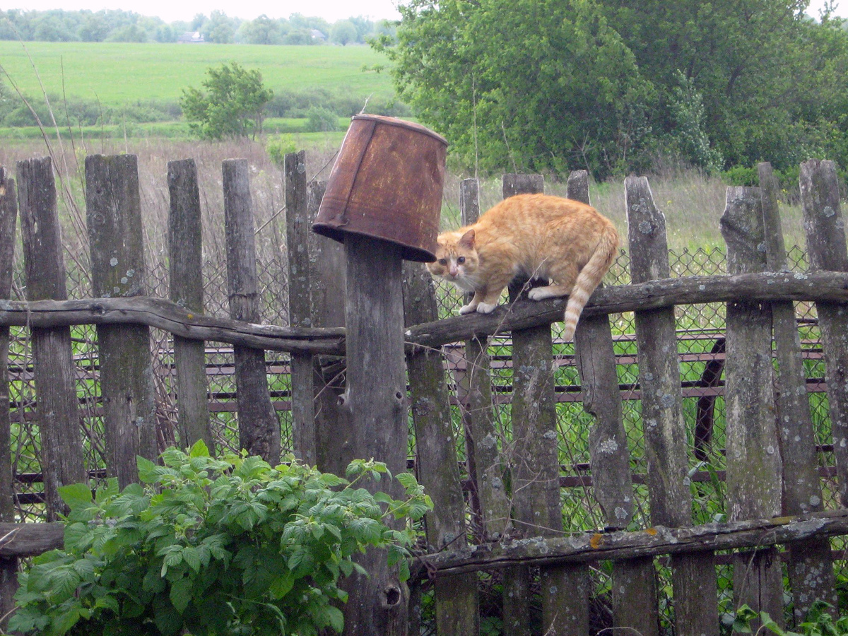 Фото: ДОМ.NEWS