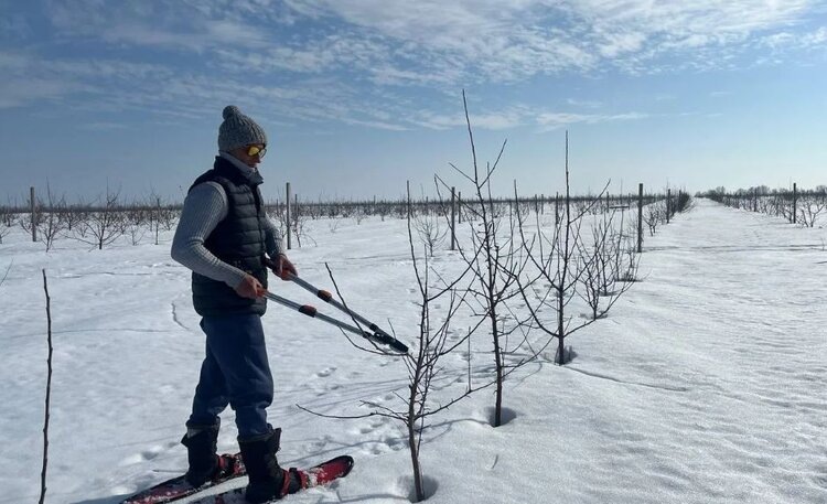    Фото: Пресс-служба Министерства сельского хозяйства Пензенской области