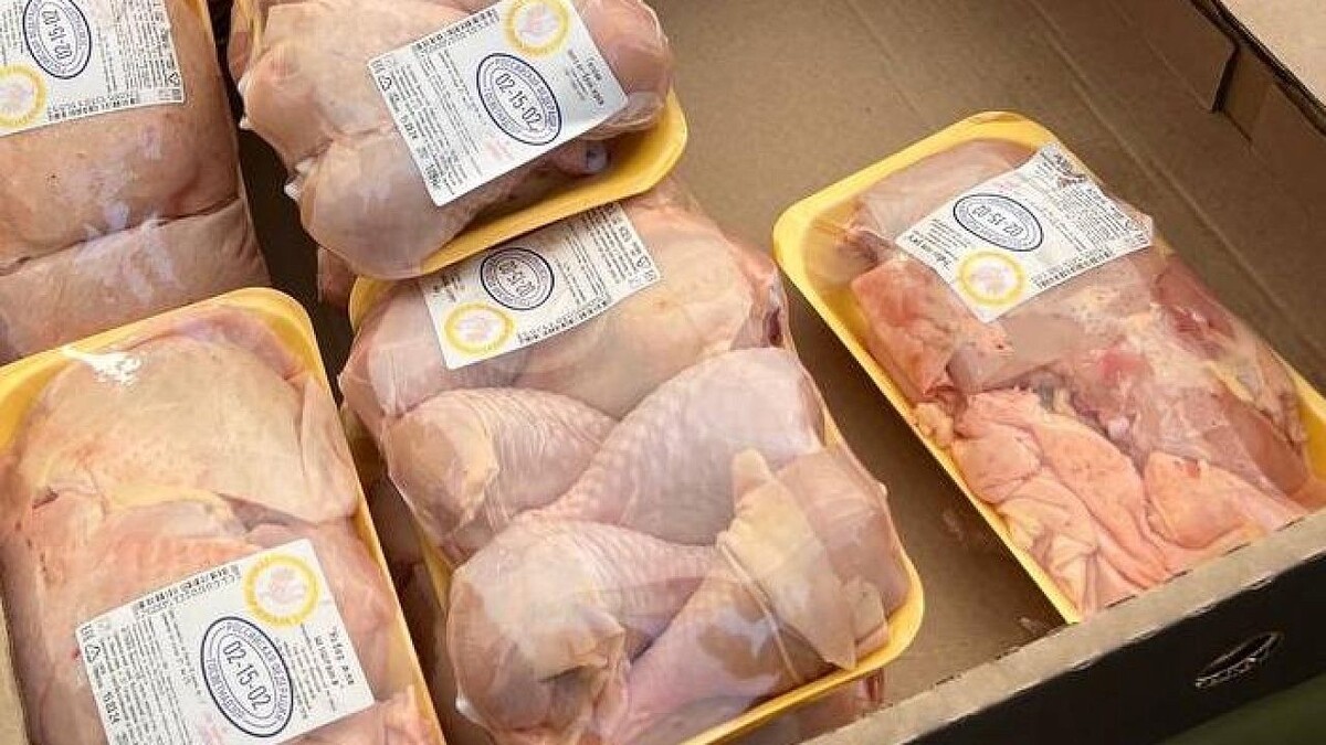    Фото: телеканал «Краснодар»