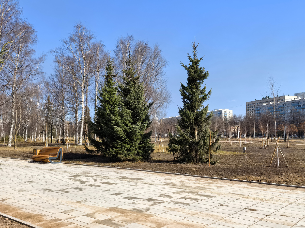 Красота ведь. 😊