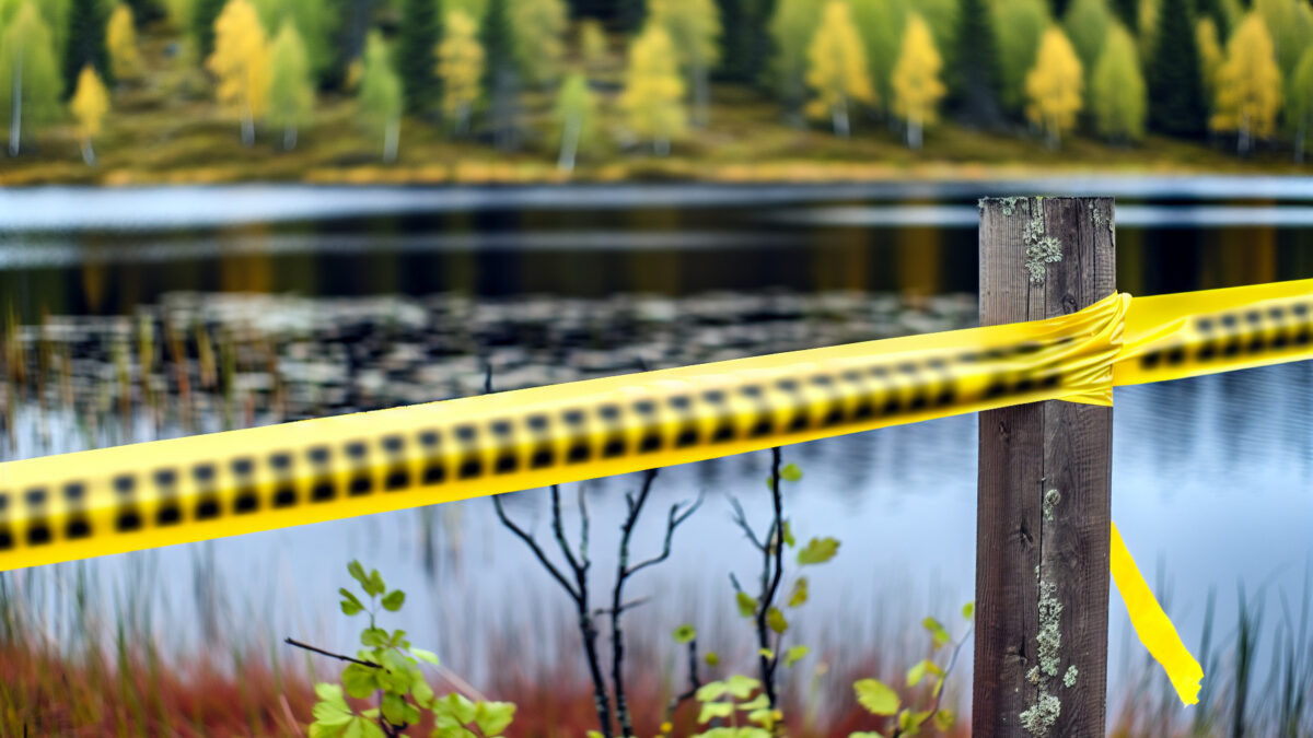    Фото - slanews.ru Никита Филлипов