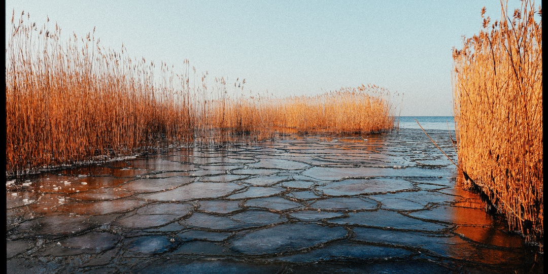 Мистический Куршский залив, который стоит увидеть хотя бы на фотографиях