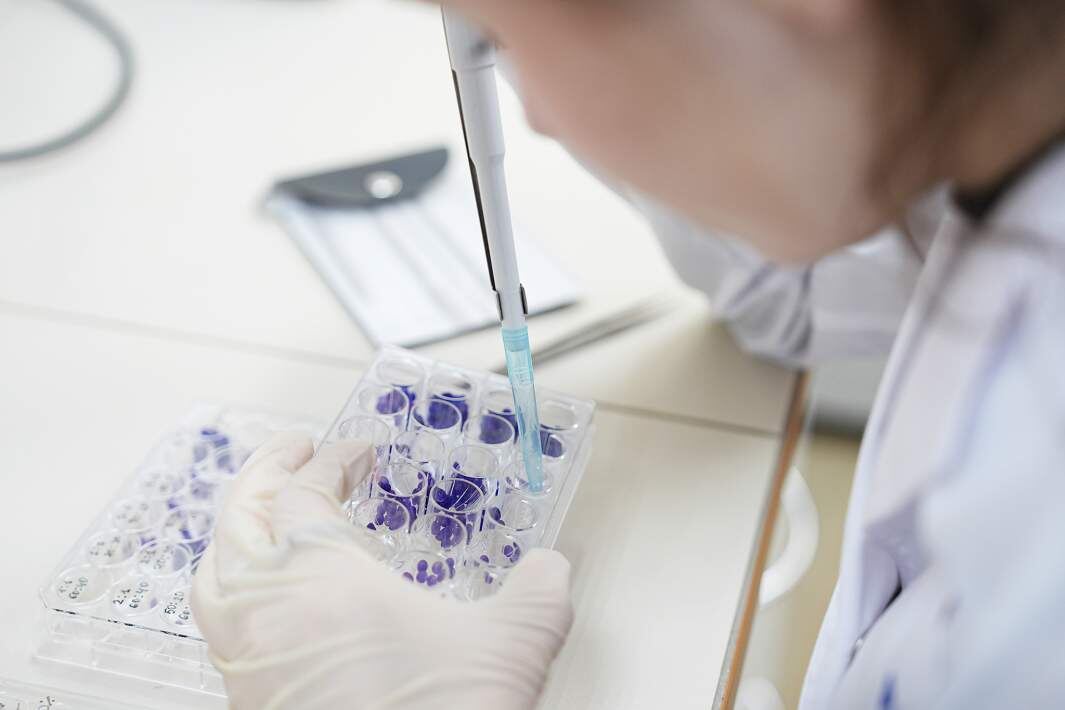 Фото: ИЗВЕСТИЯ/Павел Волков