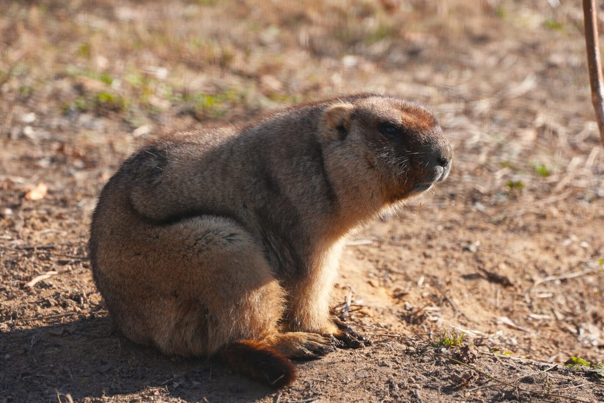    Фото: архив пресс-службы