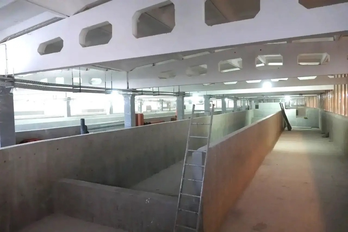    В Шуе построят масштабное экологичное форелевое хозяйство © Артур Парфенчиков/MAX