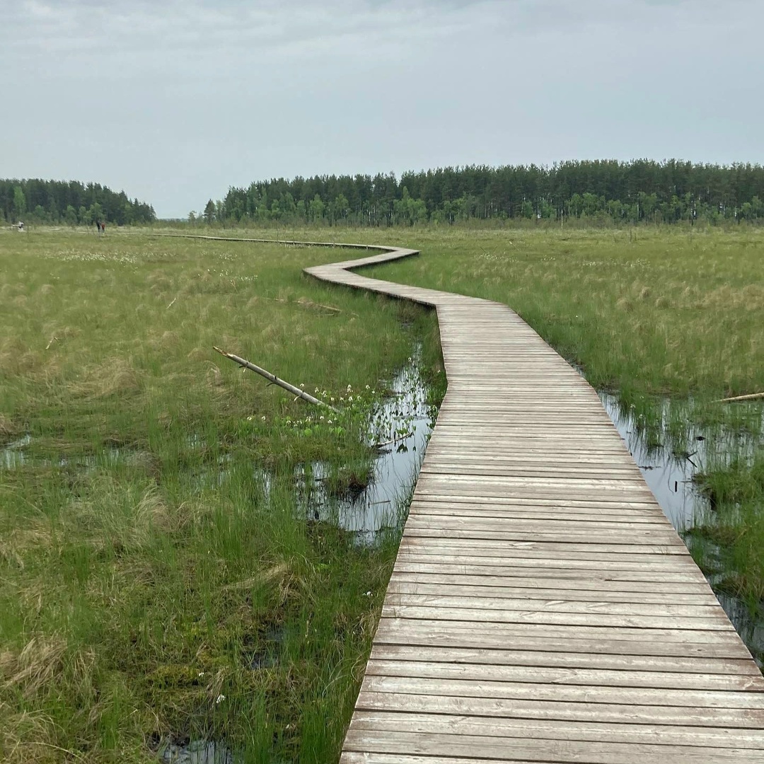 Создать карусель