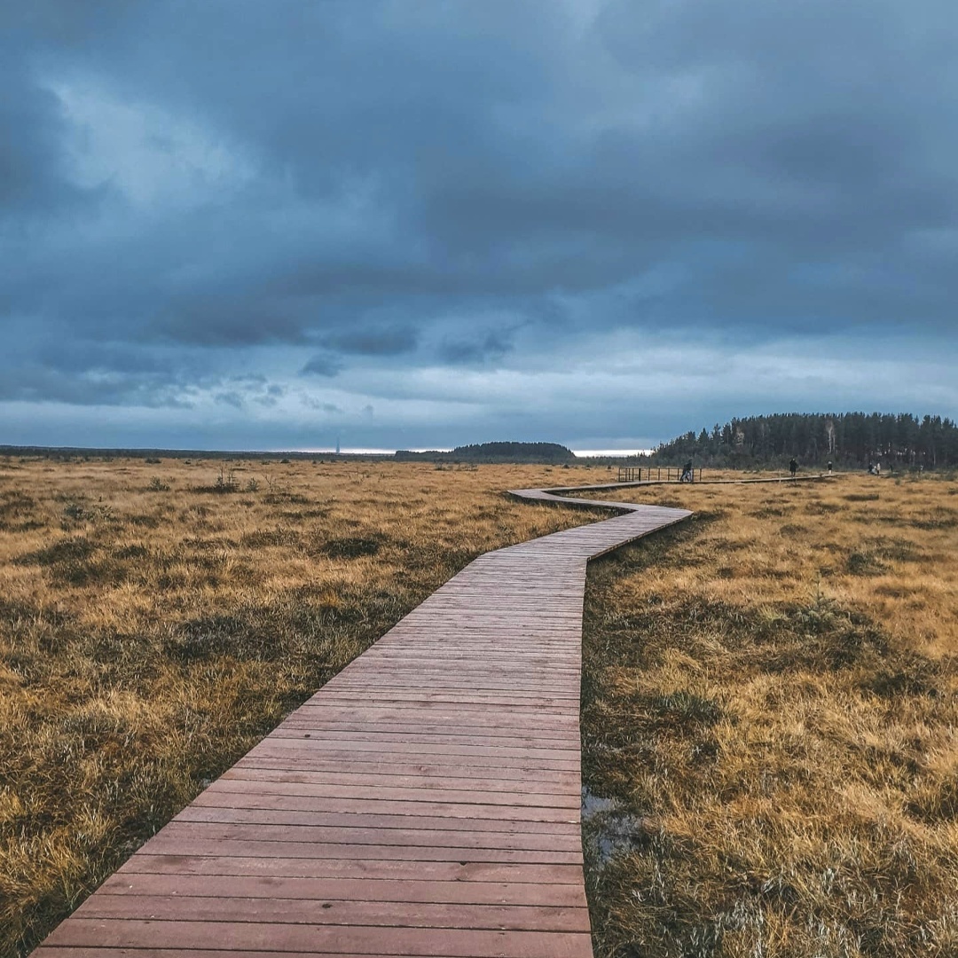 Создать карусель