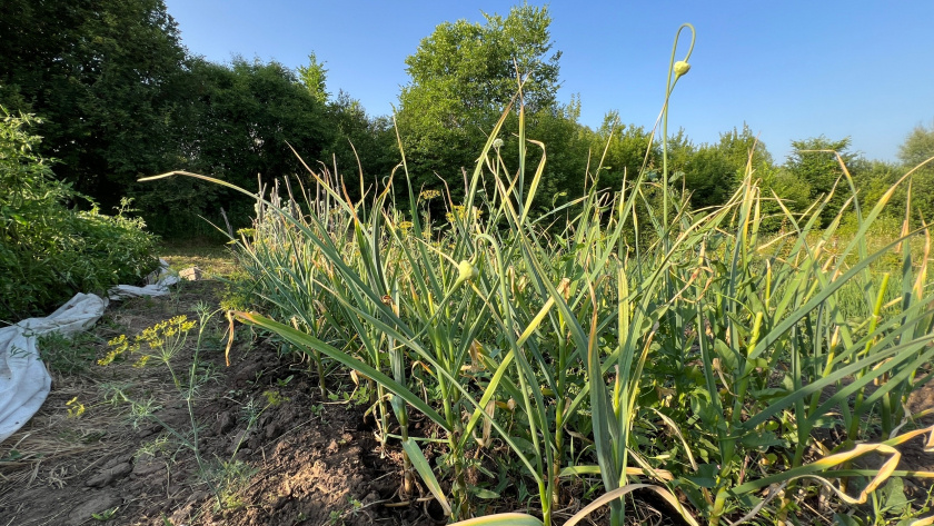    Фото: ПроГород