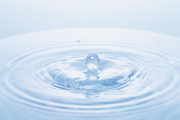 kei907/Shutterstock/FOTODOM   📷