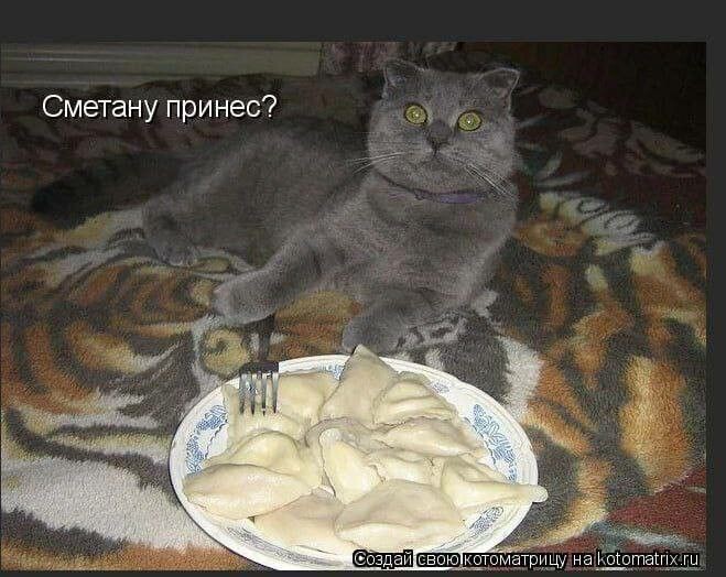 Смешные мемы с животными