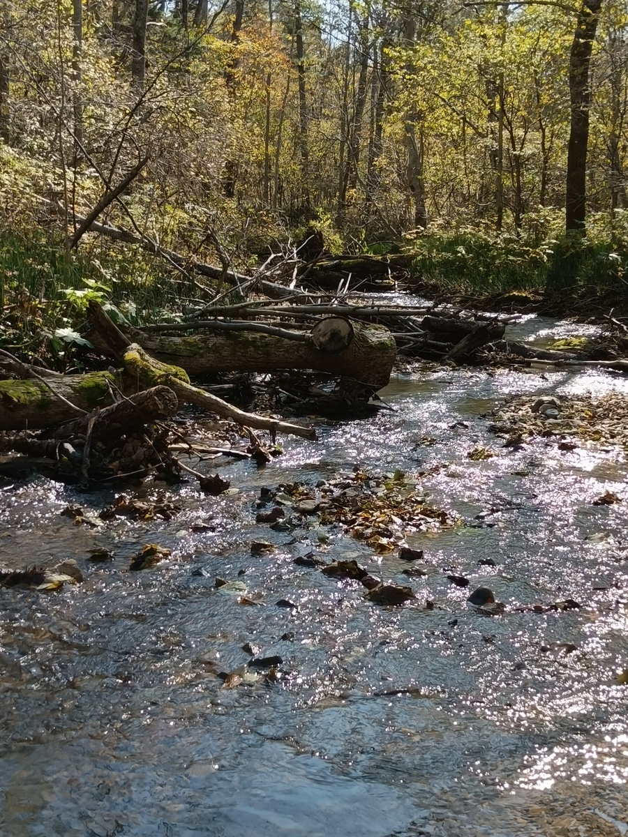 Дорога к Кислому ключу