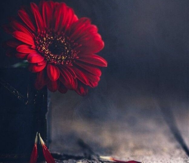 Правда ли, что после приворота мужчина становится зомби