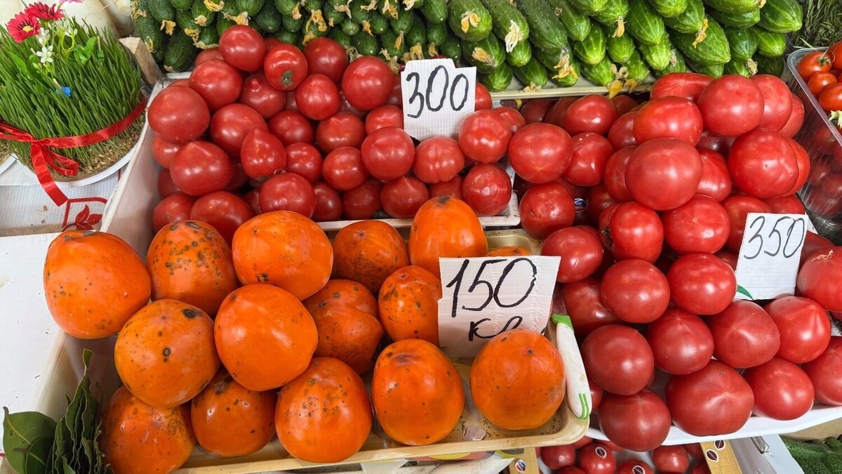    Помидоры в павильонах   newstracker.ru