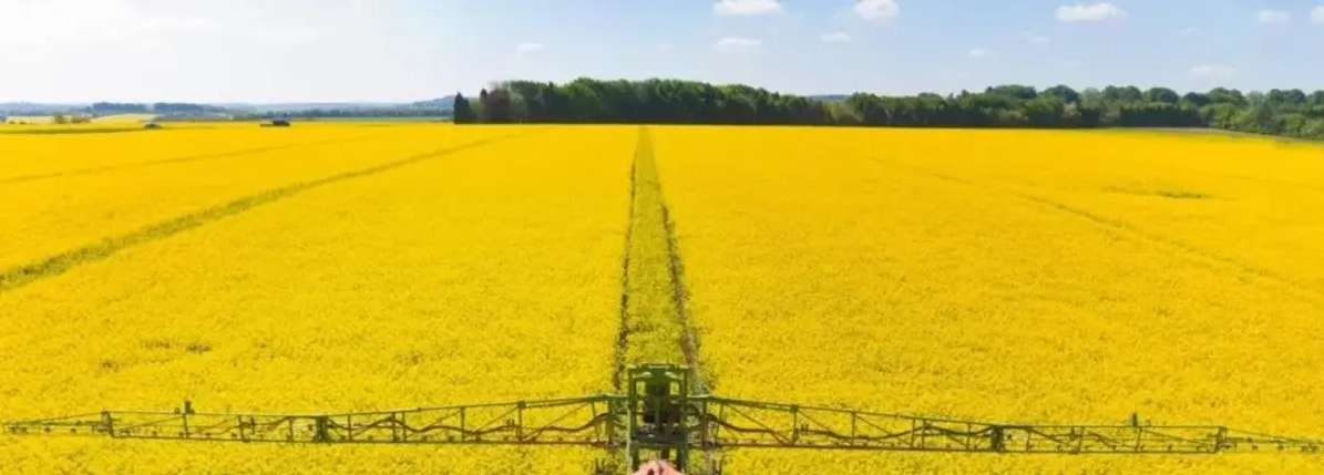 Фото: 2GIS; ЛБР