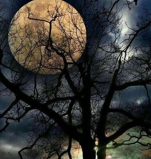 Ночь в полнолуние.