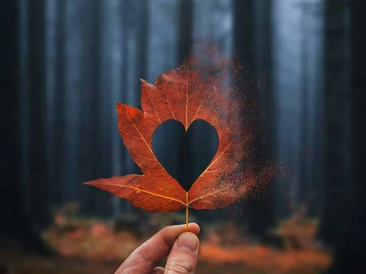 Что будет с заказчицей, если приворот не сработал