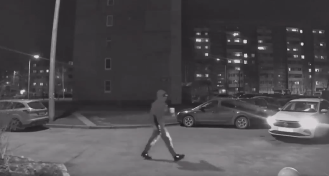    Скриншот видео камеры наблюдения