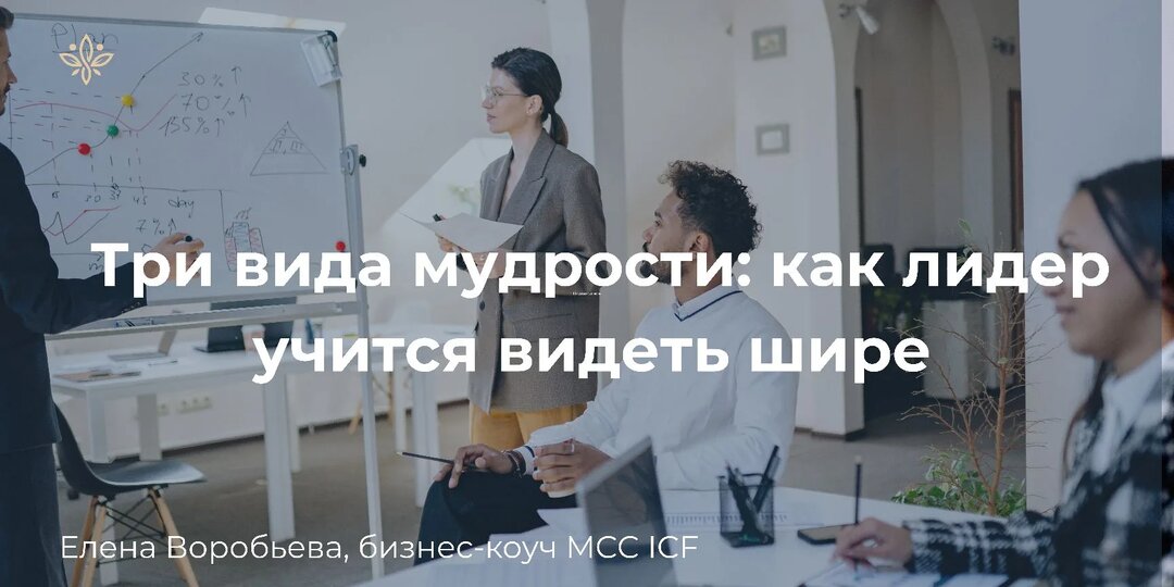 Три вида мудрости: как лидер учится видеть шире