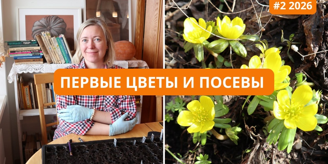 Новое влоговое видео №2