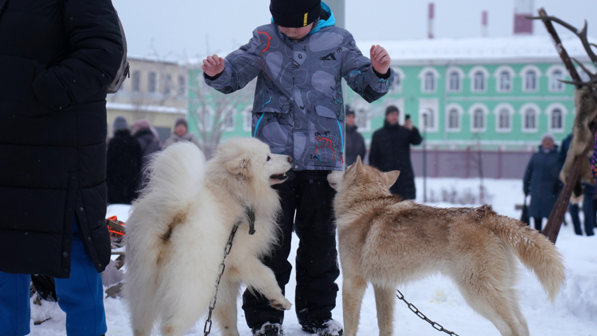 Светлана Мулыкина📷
