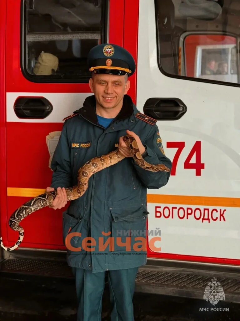    Фото: ГУ МЧС России по Нижегородской области Редакция nn-now