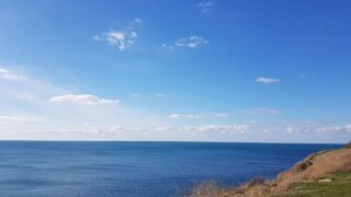    Элина Болдырева Юлия Виноградова