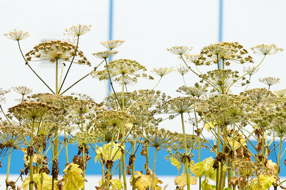    Сергей Петров/NEWS.ru
