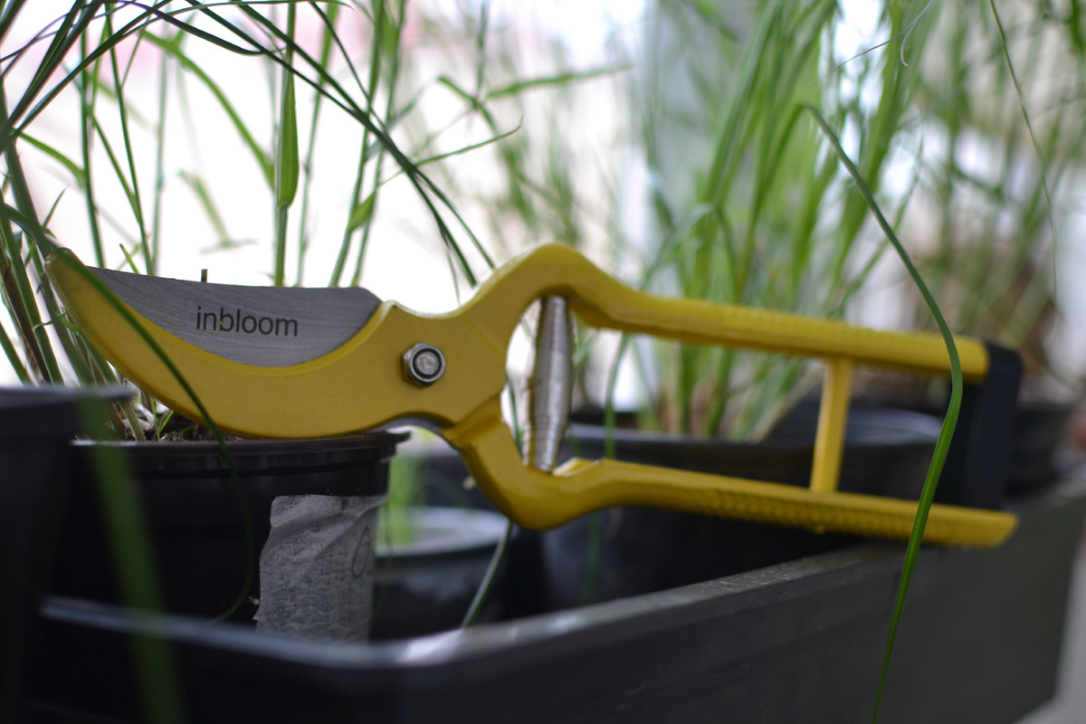 P S Дома муж сказал, что фи, скорее всего, и металл плохой, и заточку не держит, тяжёлый, наверняка, одноразовый, но... В самом деле, и что?