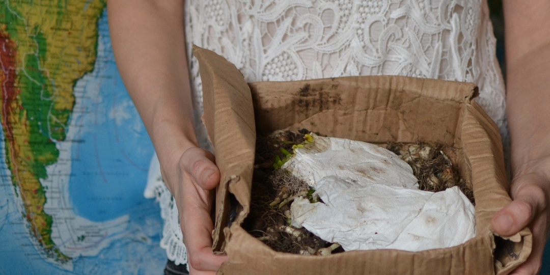 Садовые покупки и первая посылка, или дурная голова никому покоя не даёт