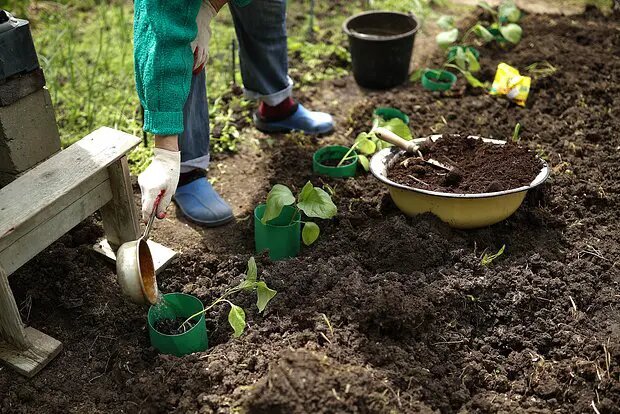    Источник: lenta.ru/ Виктор