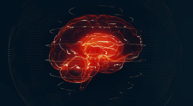 Нейросеть Prima (Прима) анализирует МРТ мозга за секунды с точностью 97,5%