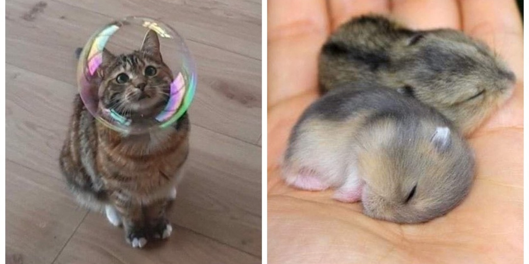 20+ моделей, фотогеничности которых можно только позавидовать