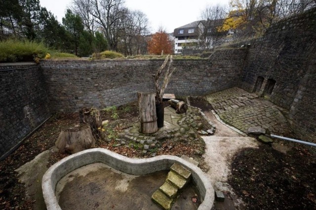   Фото из архива Калининград.Ru