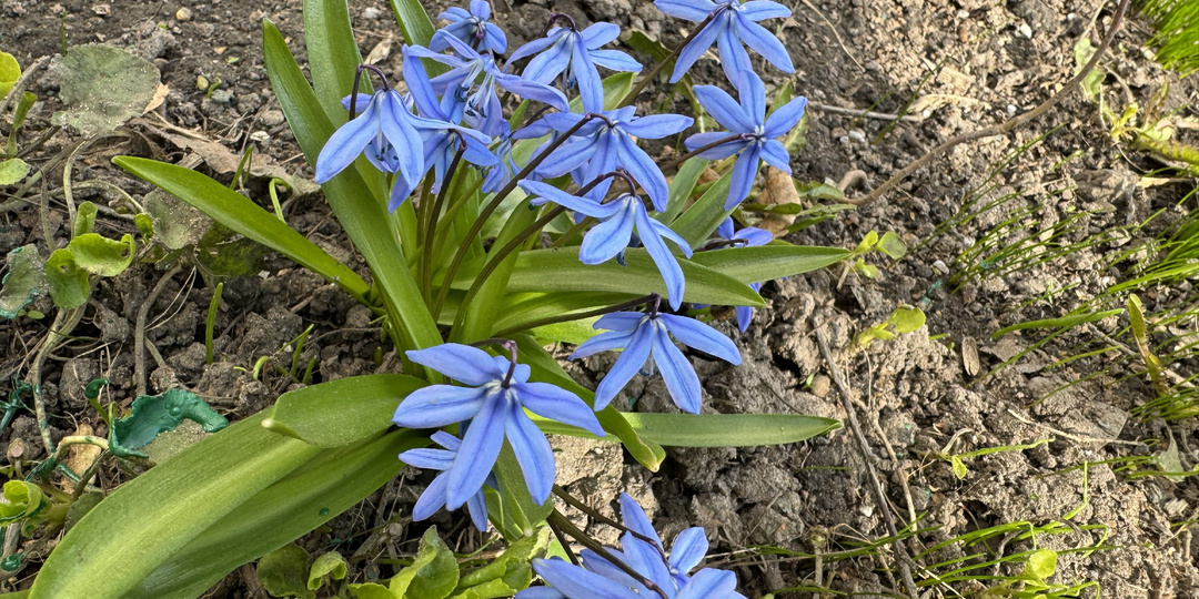 Набросок на тему уходящего марта