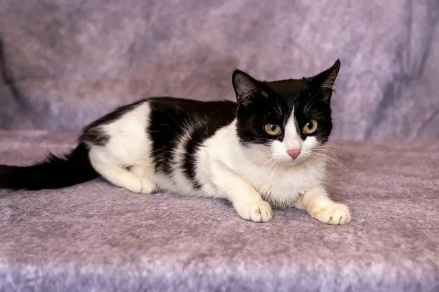 Друзья! Продолжаем знакомить вас с участниками #найдидруга_28марта