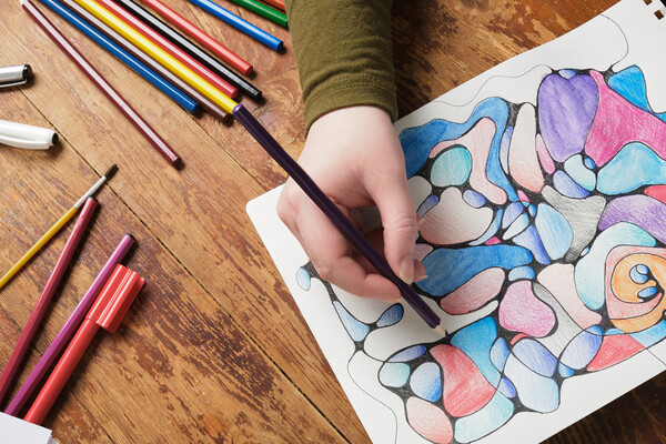 TShaKopy/Shutterstock/FOTODOM   📷