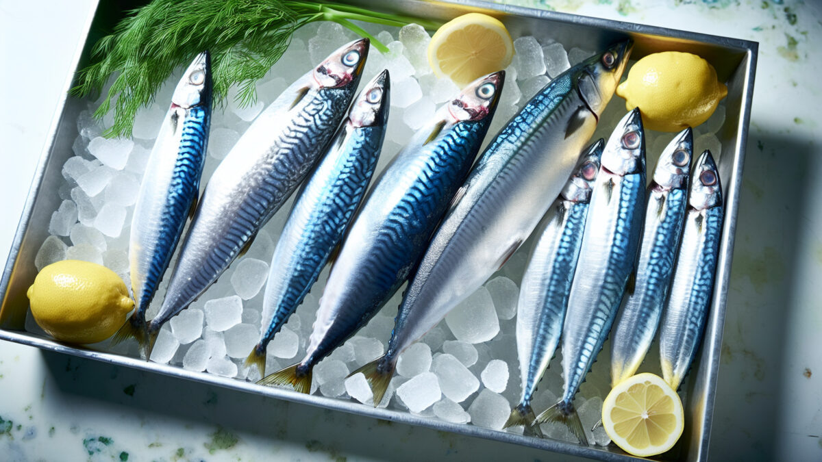    Фото - slanews.ru Елена Пахомова