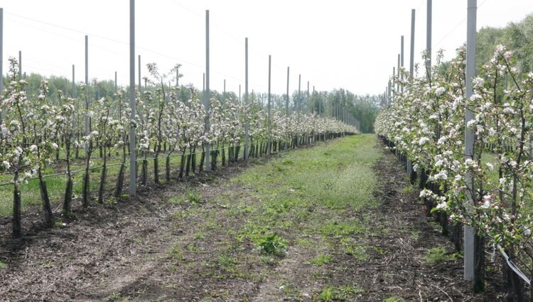    Фото: Правительство Тамбовской области