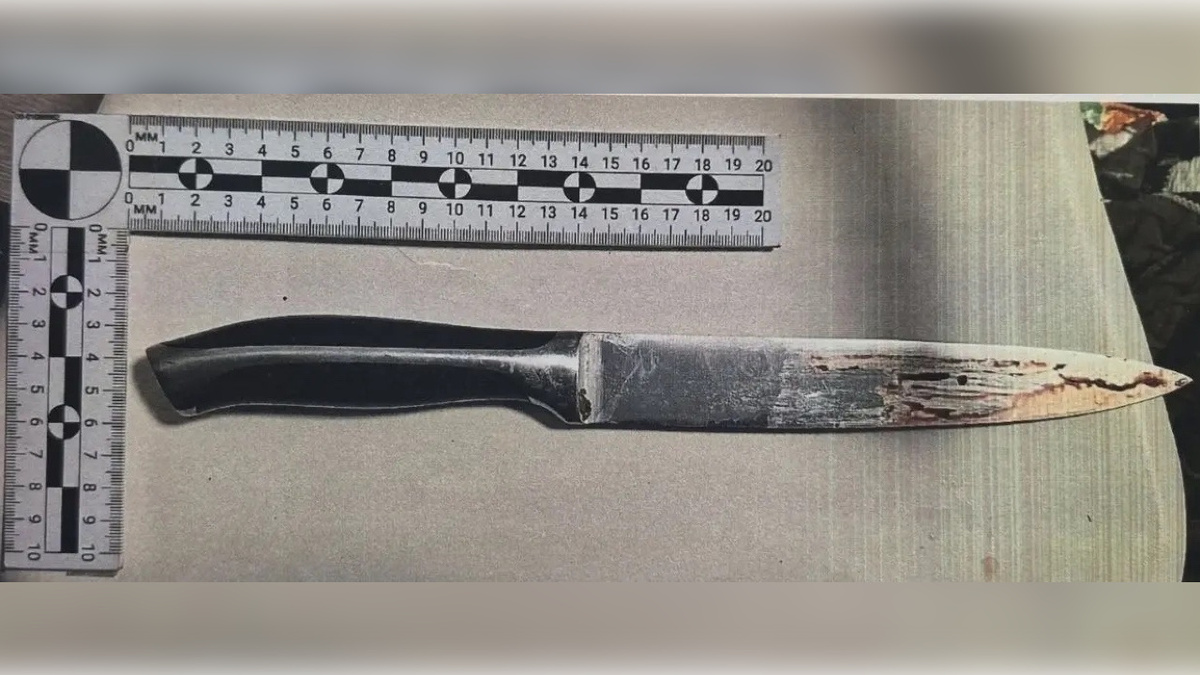    Курянка убила ножом своего сожителя