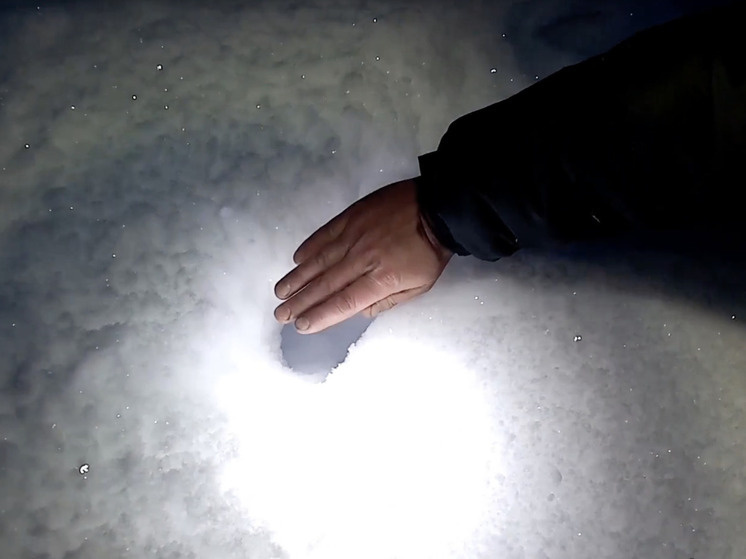     Скрин из видео пресс-службы нацпарка «Онежское Поморье»