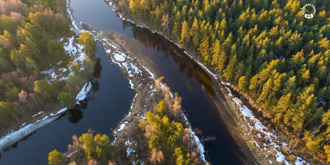 Здесь живут бобры и зубры, шумят кронами вековые сосны, а в глубине леса стоит избушка Бабы-яги.