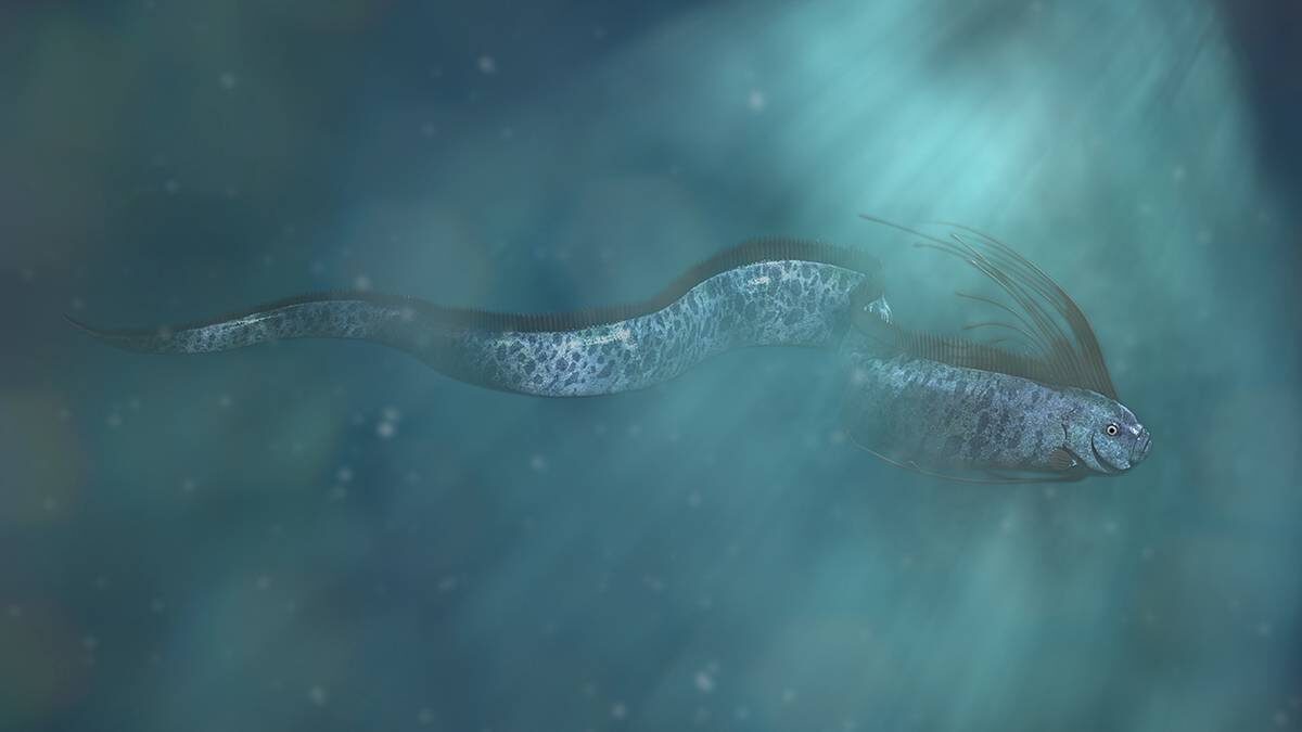    Фото: Shutterstock