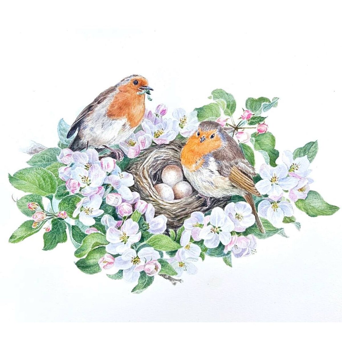 Новые мини-курсы "Птичьи истории: весна" - сюжет акварелью