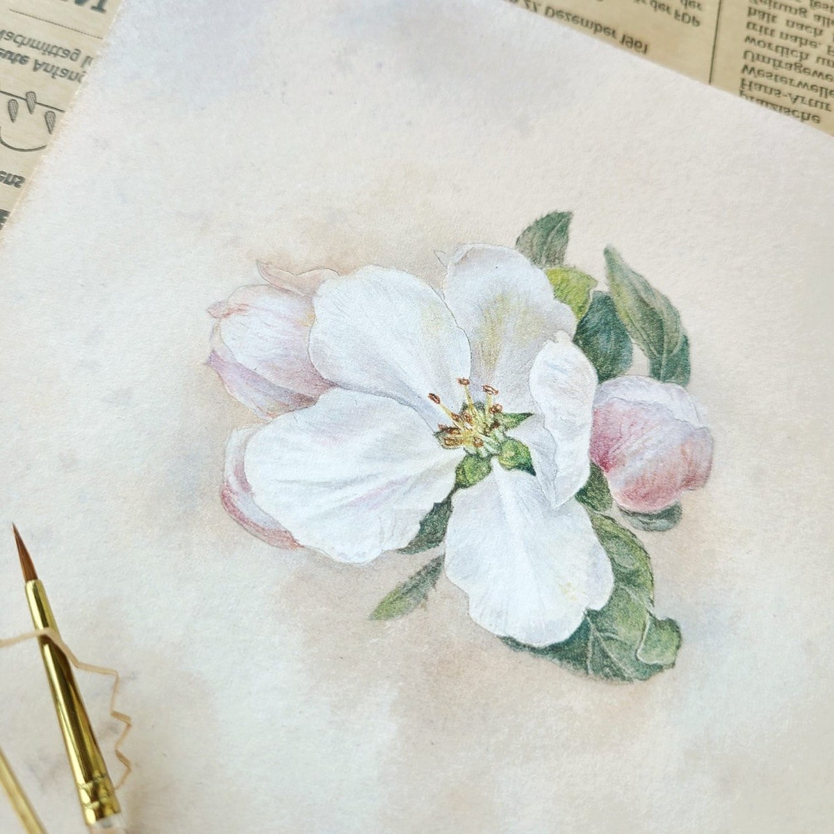 Сюжет из курса "Ретро-ботаника"