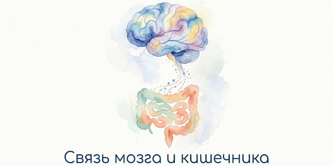 Связь мозга и кишечника