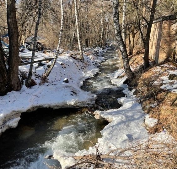 🌲 Александров день: Почему 28 марта нельзя чесать голову?