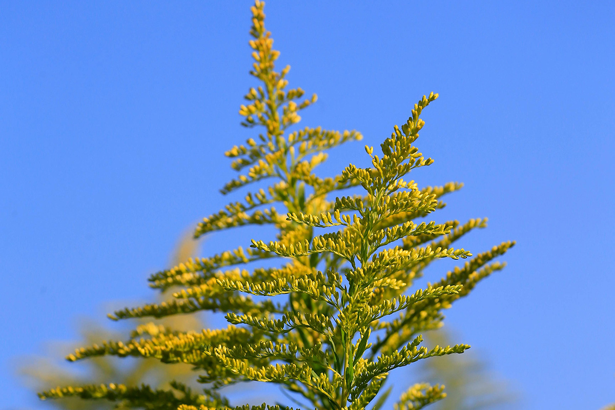    Фото: Jeffry Surianto / Pexels.com