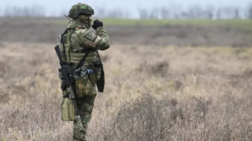    Источник: russian.rt.com Елизавета Кошелева