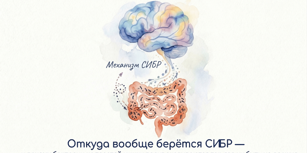 Откуда вообще берётся СИБР — и почему бактерии из толстой кишки вдруг оказываются там, где их быть не должно
