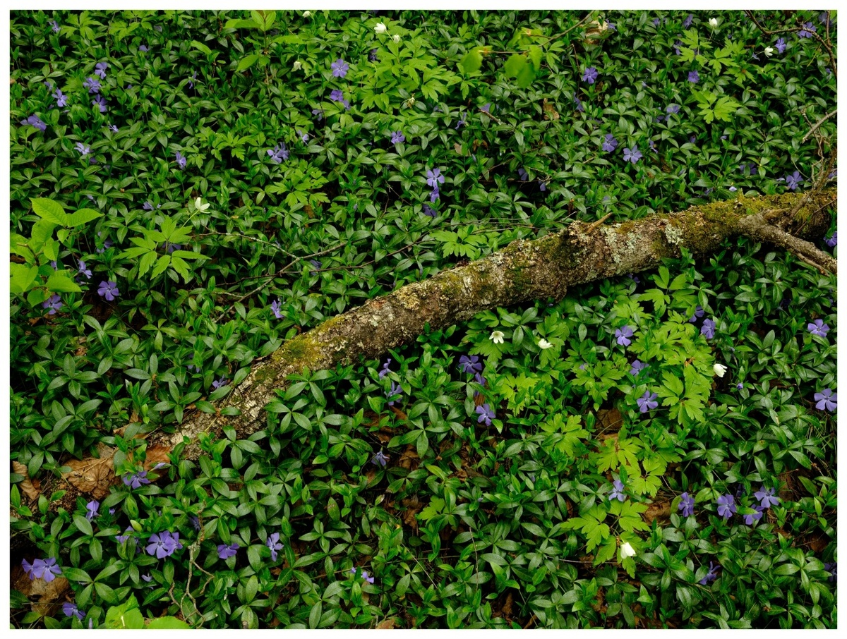    Фото: Александр Губарев Юра Белый